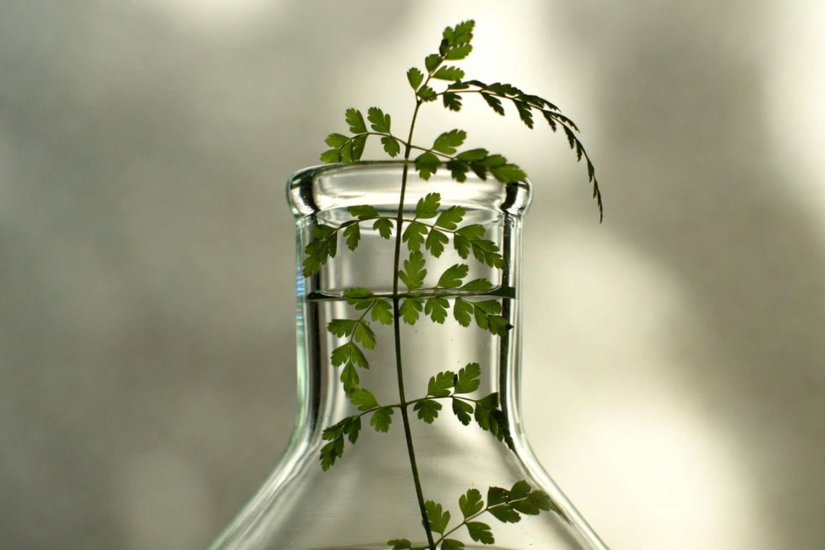 aktivace-parasympatiku-fyziologicky-vzdech